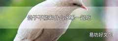 鸽子不能和什么水果一起吃