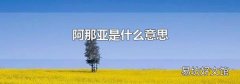 阿那亚是什么意思