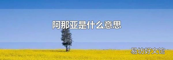 阿那亞是什么意思