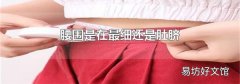 腰围是在最细还是肚脐