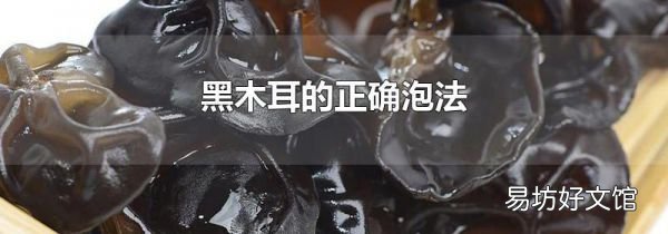 黑木耳的正确泡法