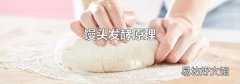 馒头发酵原理
