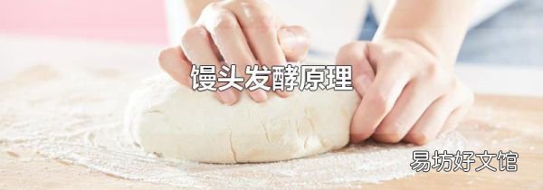 馒头发酵原理