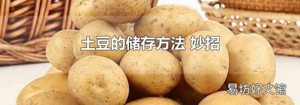 土豆的储存方法 妙招