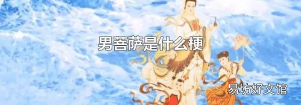 男菩萨是什么梗
