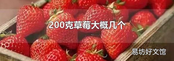 200克草莓大概幾個(gè)
