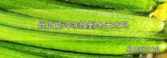 丝瓜能冷冻放到冬天吃吗