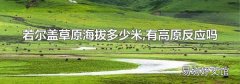 若尔盖草原海拔多少米,有高原反应吗