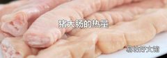猪大肠的热量