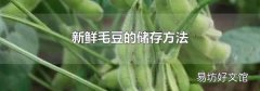 新鲜毛豆的储存方法