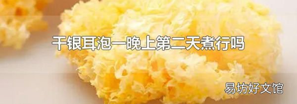 干銀耳泡一晚上第二天煮行嗎