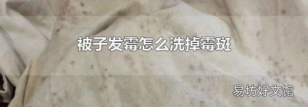 被子发霉怎么洗掉霉斑