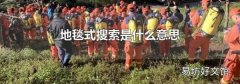 地毯式搜索是什么意思
