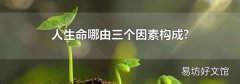 人生命哪由三个因素构成?