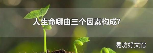 人生命哪由三个因素构成?