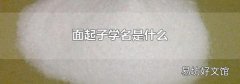 面起子学名是什么