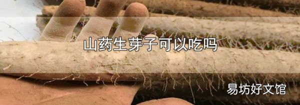 山药生芽子可以吃吗