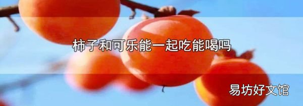 柿子和可乐能一起吃能喝吗