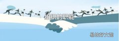 组织的职能