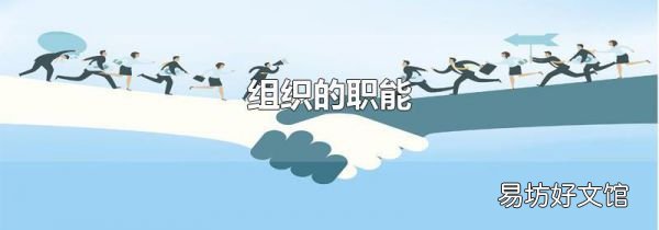 组织的职能
