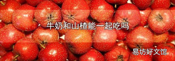 牛奶和山楂能一起吃吗