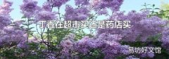 丁香在超市买还是药店买