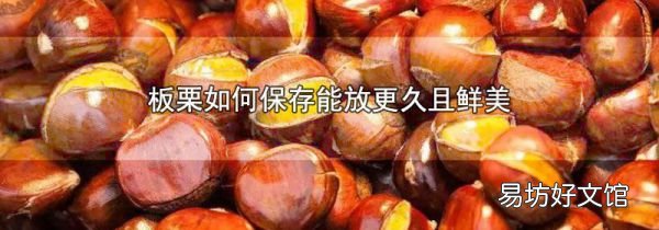 板栗如何保存能放更久且鮮美