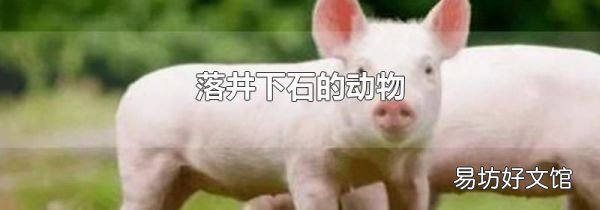 落井下石的動物