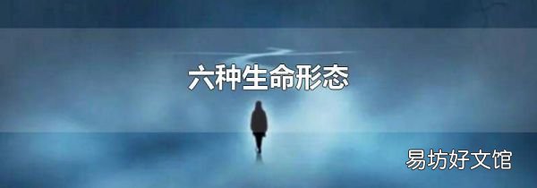 六种生命形态