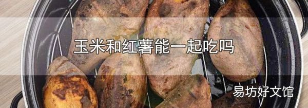 玉米和红薯能一起吃吗