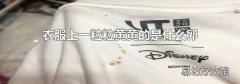 衣服上一粒粒黄黄的是什么卵