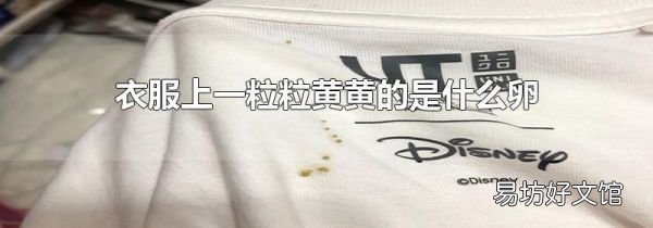 衣服上一粒粒黄黄的是什么卵