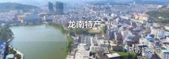 龙南特产