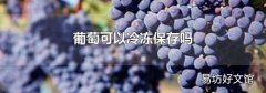 葡萄可以冷冻保存吗