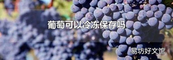 葡萄可以冷冻保存吗