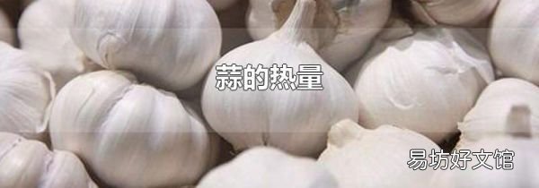 蒜的热量