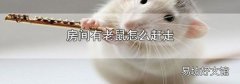 房间有老鼠怎么赶走