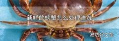 新鲜的螃蟹怎么处理清洗