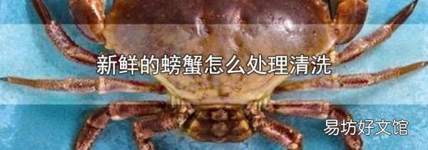 新鲜的螃蟹怎么处理清洗