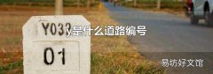 y是什么道路编号