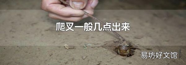 爬叉一般几点出来