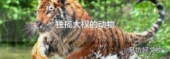 独揽大权的动物