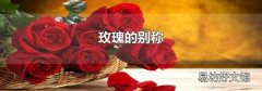 玫瑰的别称