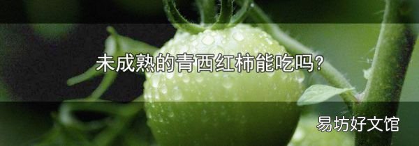 未成熟的青西红柿能吃吗?