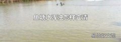 鱼塘水浑浊怎样变清