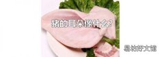 猪的耳朵像什么?
