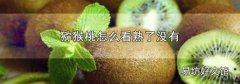 猕猴桃怎么看熟了没有
