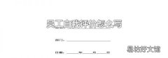 员工自我评价怎么写
