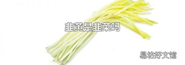韭黄是韭菜吗