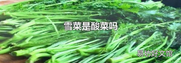 雪菜是酸菜吗